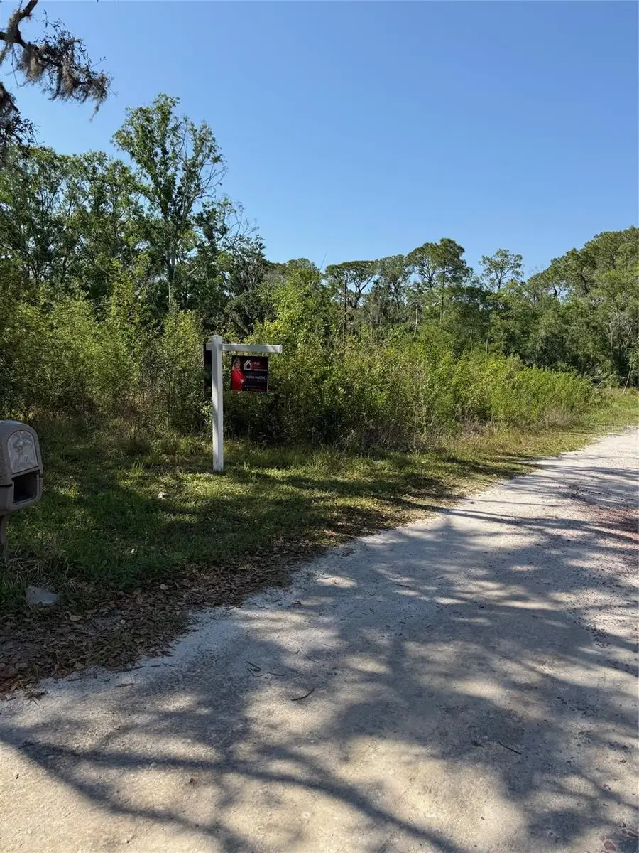 Elza Street, New Port Richey, FL 34654 - #2