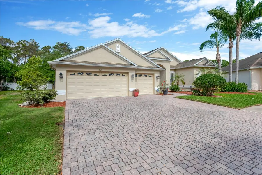 20749 Auburn Leaf Trail, Land O Lakes, FL 34638 - Image #3