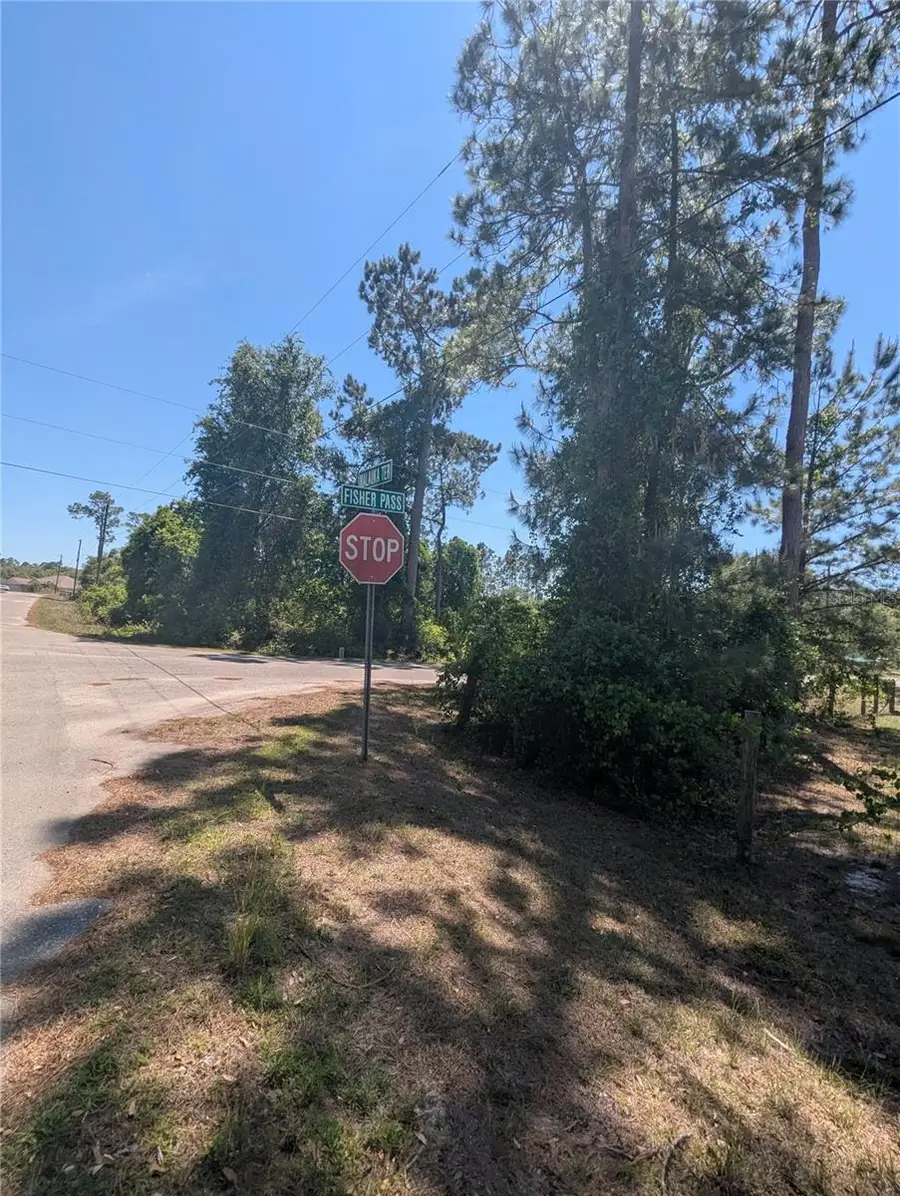 Fisher Pass Pass #35, Ocklawaha, FL 32179 - Image #3