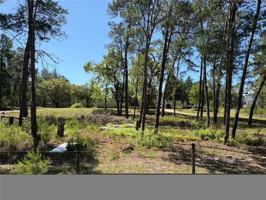 1882 Bellamy Road, Florahome, FL 32140 - Image #3