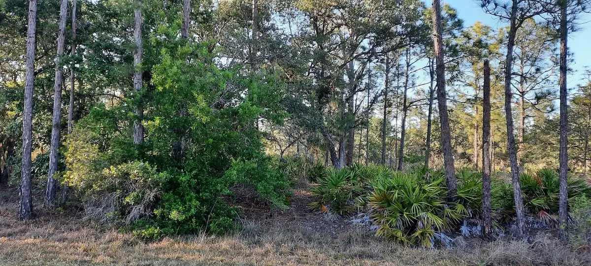 1012 Japonica Drive, Indian Lake Estates, FL 33855 - Image #1