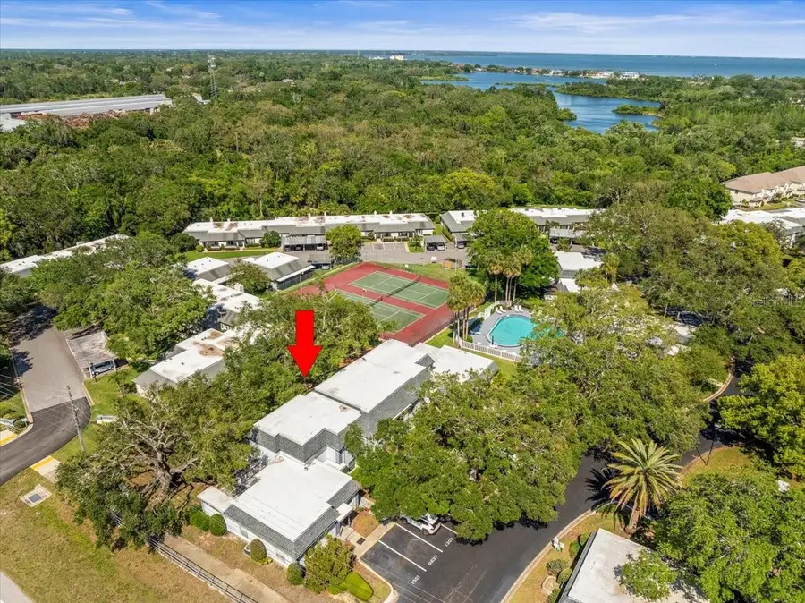 1303 N Mcmullen Booth Road #1303, Clearwater, FL 33759 - Image #3