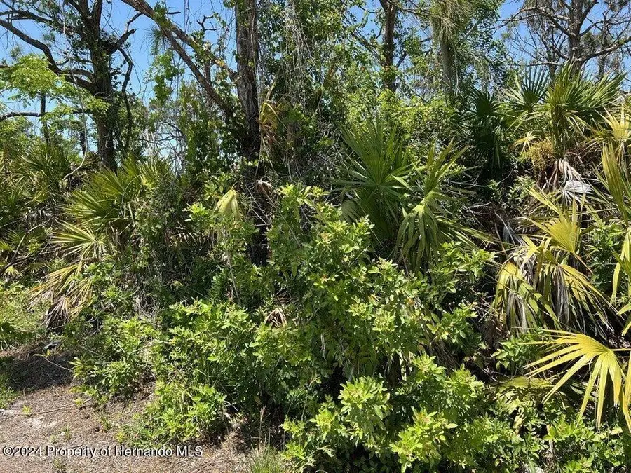 3714 Myers Lane, Saint James City, FL 33956 - Image #3