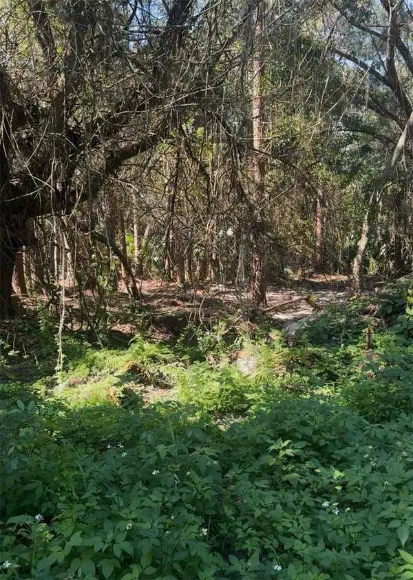 Cr-138, BRANFORD, FL 32008