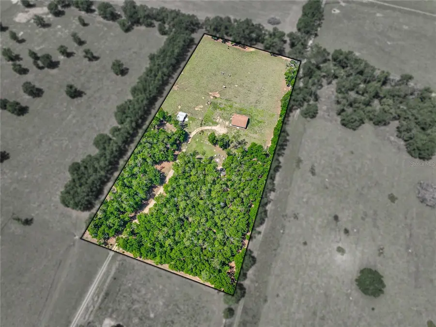 35657 Ashley Lane, Dade City, FL 33523 - Image #3