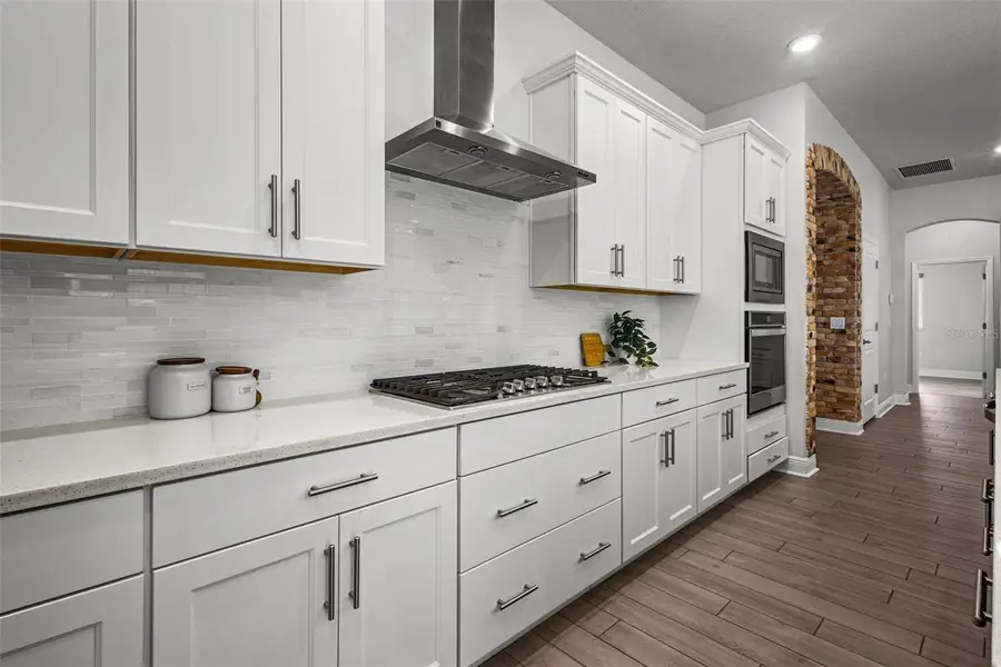 15329 Renaissance Avenue, Odessa, FL 33556 - Image #3