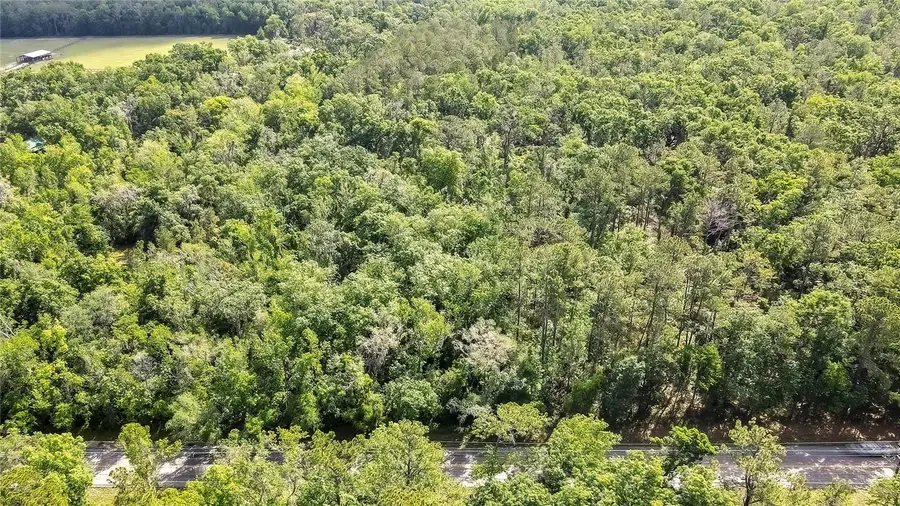 3060 Spring Lake Highway, Brooksville, FL 34602 - Image #3