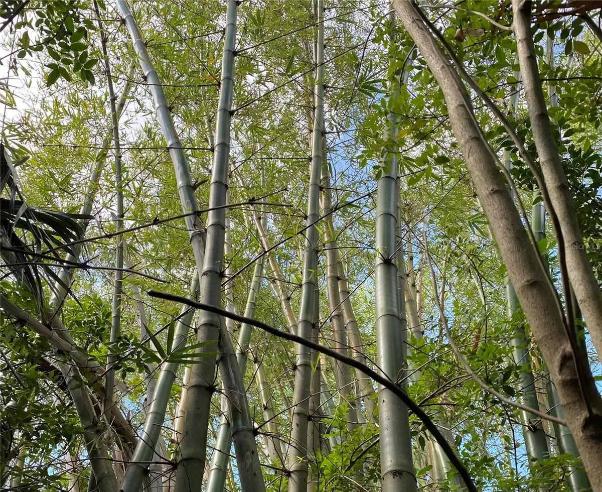 411 Solona Street, Punta Gorda, FL 33950 - Image #1