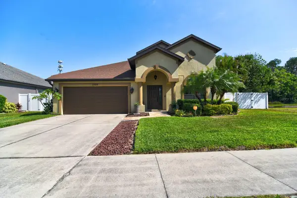 1704 Via Palermo Street, PLANT CITY, FL 33566