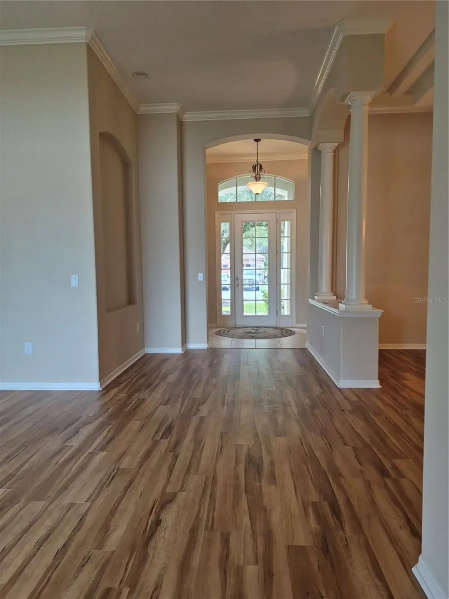 30434 Colehaven Court, Wesley Chapel, FL 33543 - Image #2