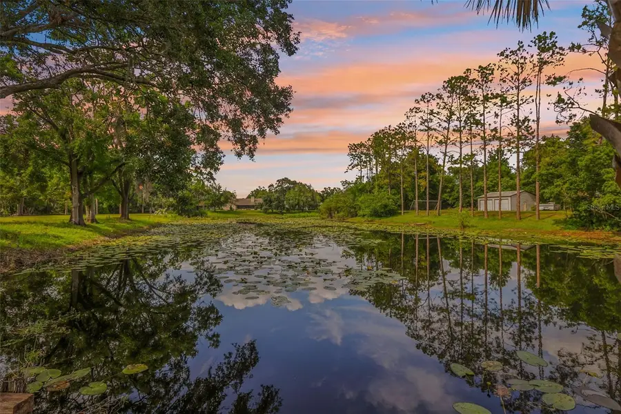 1226 Debuel Road, Lutz, FL 33549 - Image #3