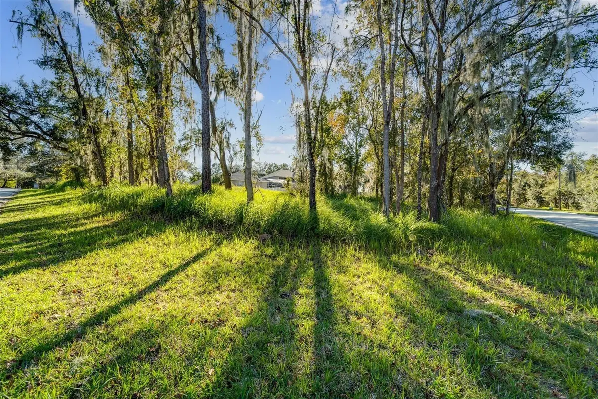 12505 Lake Hills Drive, Riverview, FL 33569 - Image #1