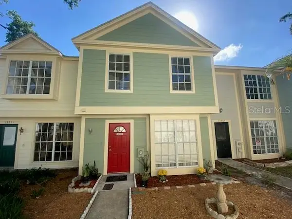 13909 Fletchers Mill Drive, TAMPA, FL 33613