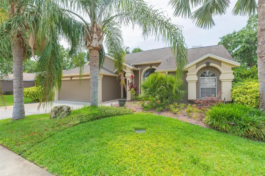 9112 Calle Alta, New Port Richey, FL 34655 - Image #2