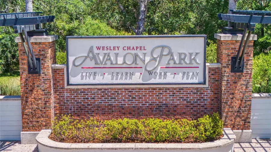 32628 Harmony Oaks Drive, Wesley Chapel, FL 33545 - Image #2