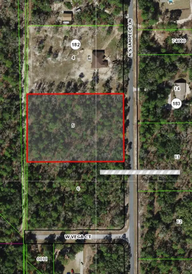 2348 N Stampede Drive, Beverly Hills, FL 34465 - Image #1