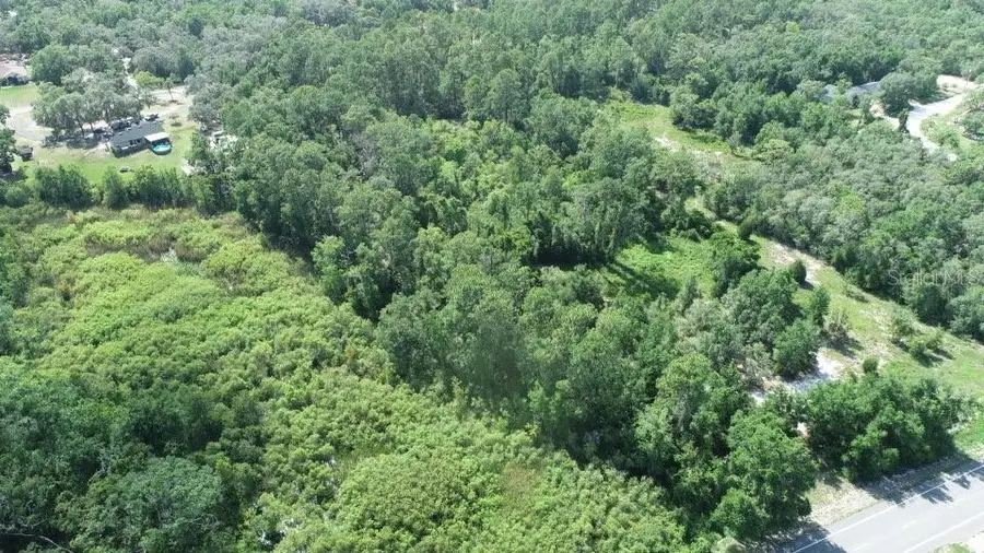 7149 Treiman Boulevard, Webster, FL 33597 - Image #3