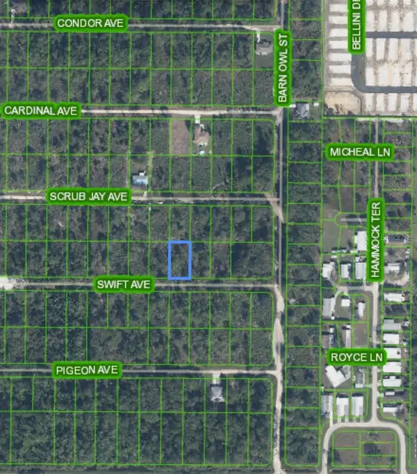 Swift Avenue, SEBRING, FL 33870