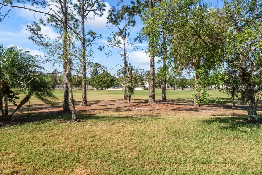 10517 Palm Cove Avenue, Tampa, FL 33647 - Image #3