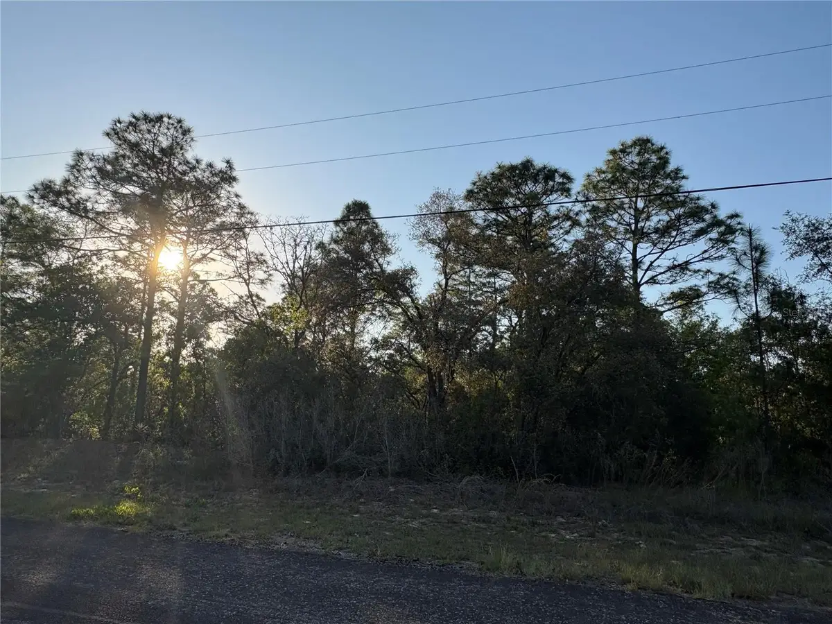 9172 N Marcus Way, Citrus Springs, FL 34433 - #1