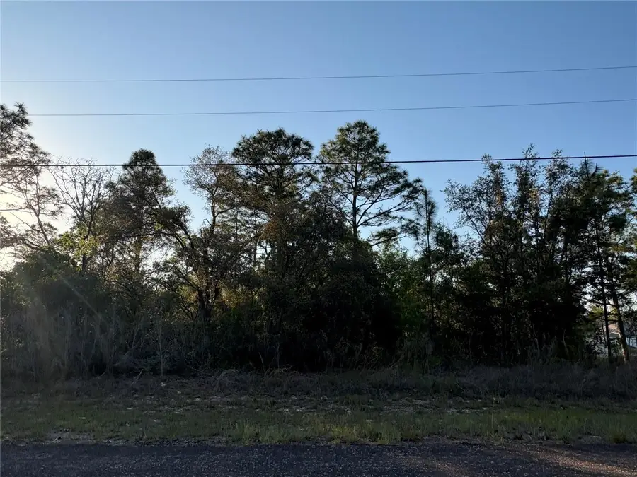 9172 N Marcus Way, Citrus Springs, FL 34433 - #2