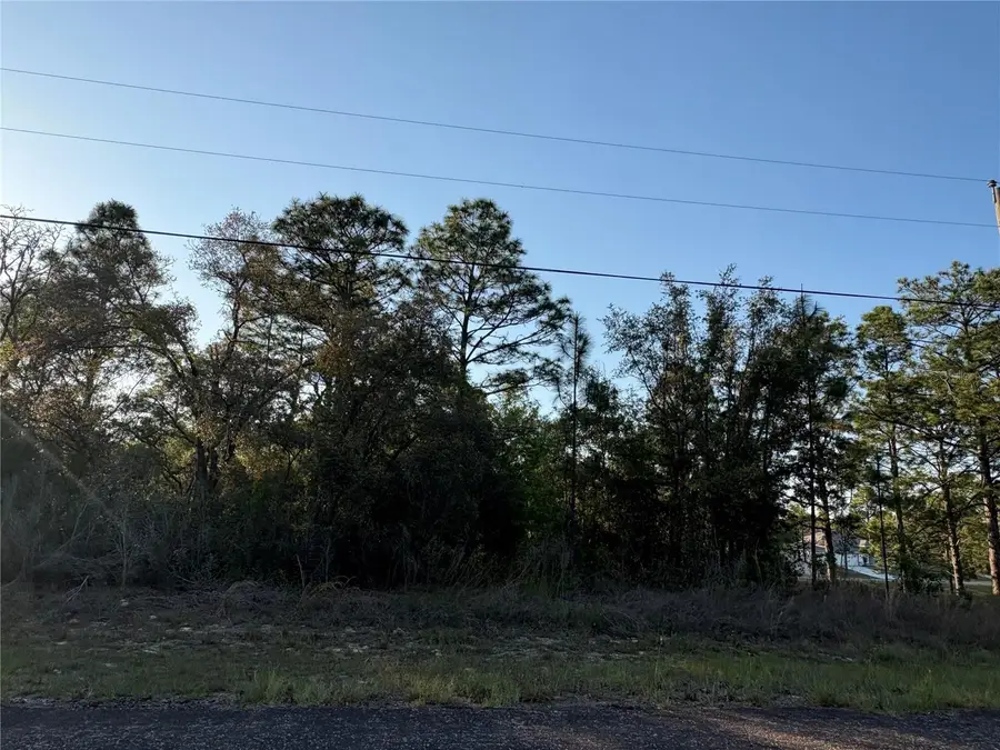 9172 N Marcus Way, Citrus Springs, FL 34433 - #3