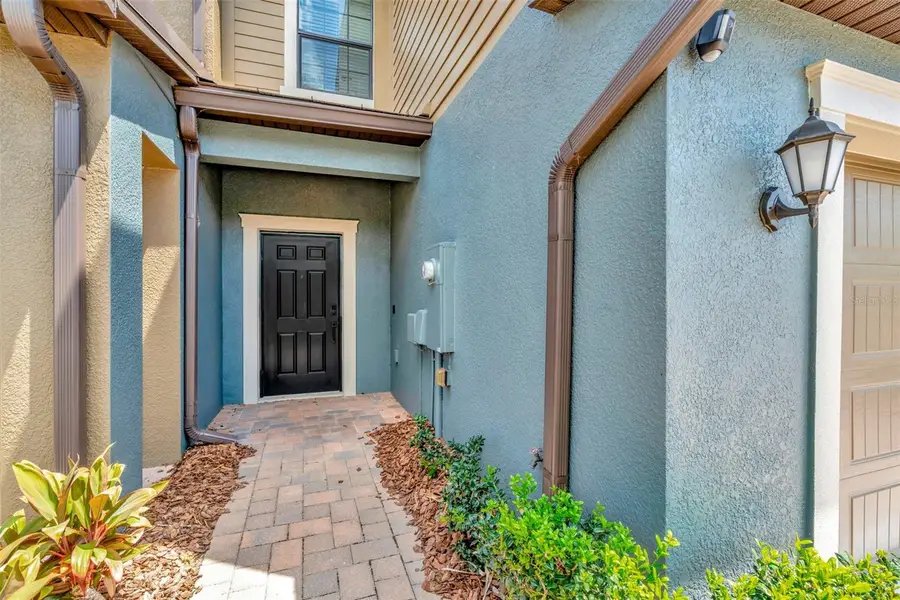 28516 Tranquil Lake Circle, Wesley Chapel, FL 33543 - Image #2