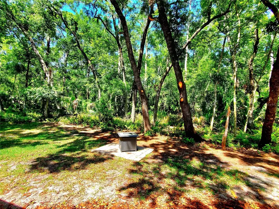 3529 Tanglewood Trail, Palm Harbor, FL 34685 - Image #2