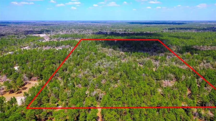 7137 W Sunmar Sample Lane, Dunnellon, FL 34433 - #2
