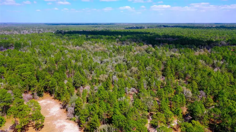 7137 W Sunmar Sample Lane, Dunnellon, FL 34433 - #3