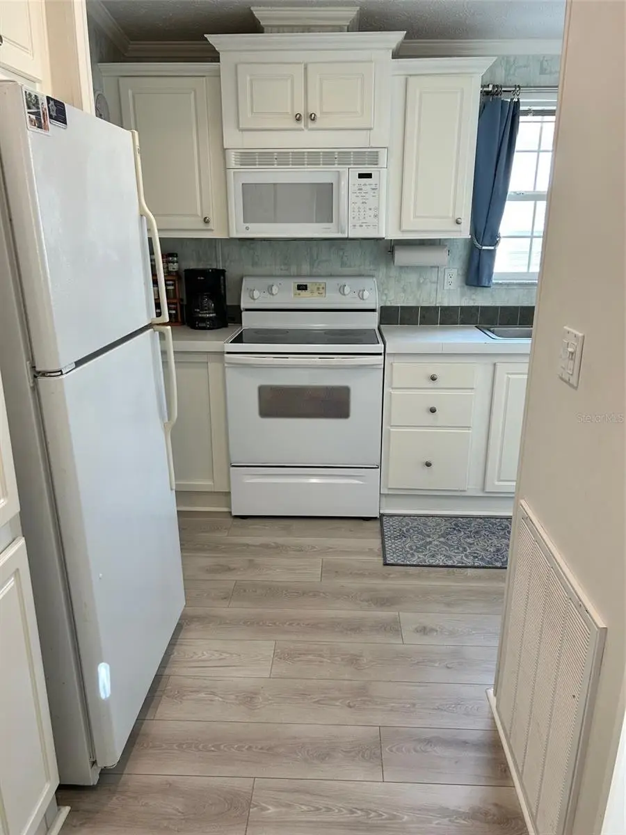 21034 Lirio Drive, Land O Lakes, FL 34637 - Image #3