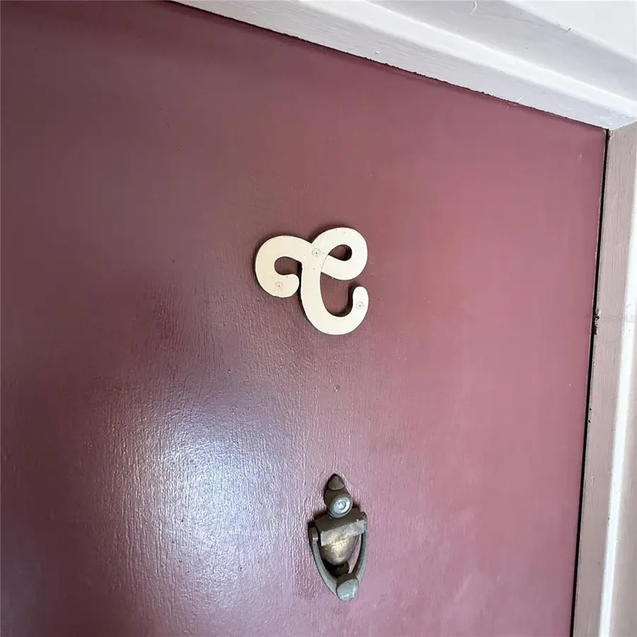 7526 Needle Leaf Place #29, Tampa, FL 33617 - Image #3