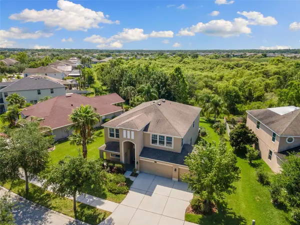 10837 Breaking Rocks Drive, TAMPA, FL 33647