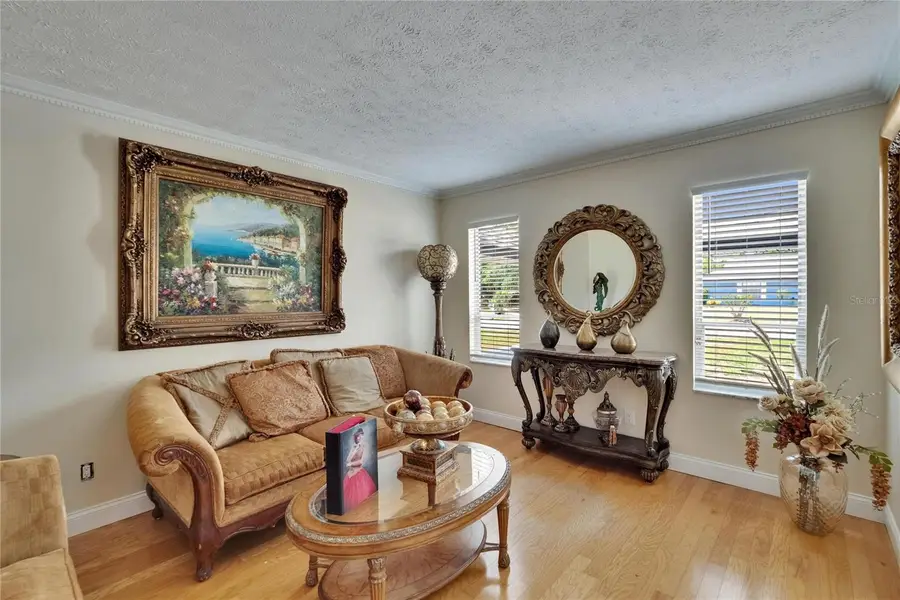 2219 Summit View Drive, Valrico, FL 33596 - Image #3