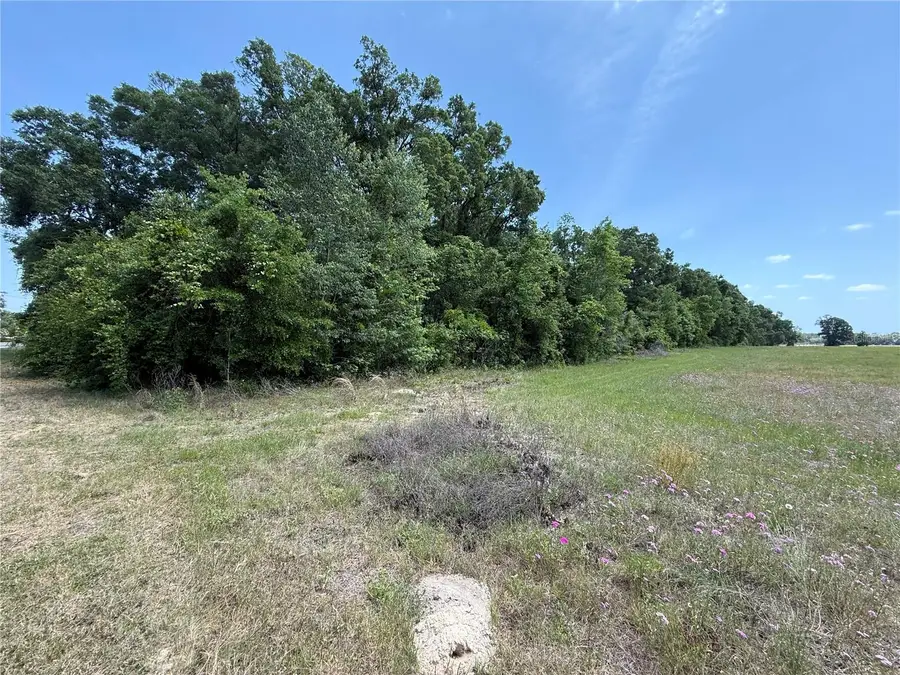 0 NW 11th Avenue, Chiefland, FL 32626 - Image #3