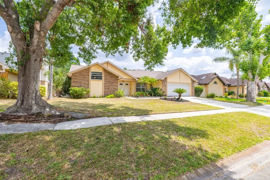 1426 Buckner Road, Valrico, FL 33596 - Image #3