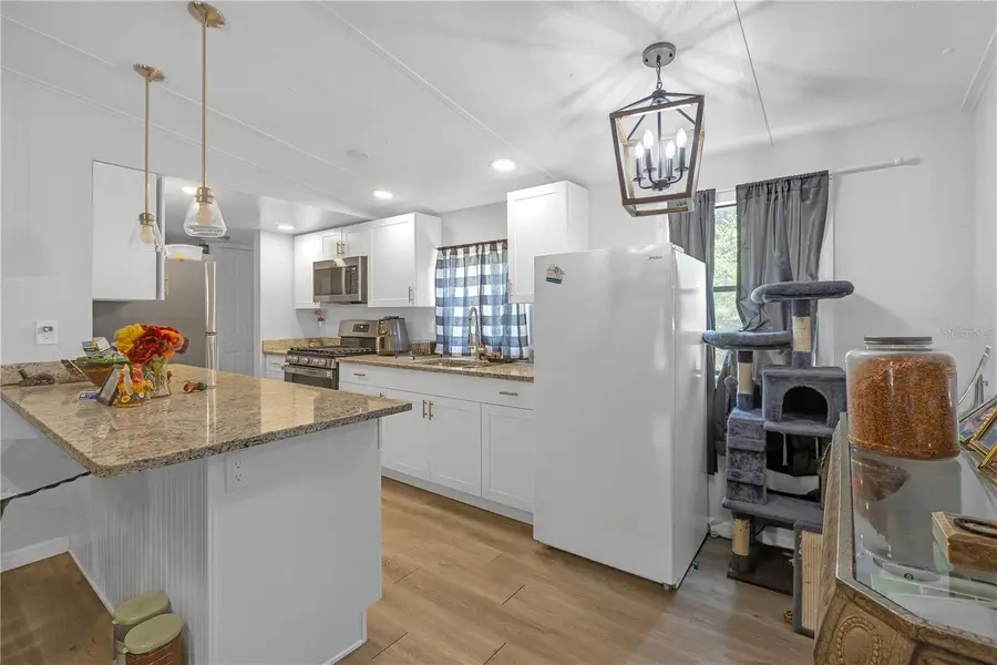 34924 Talisman Street, Dade City, FL 33523 - Image #3