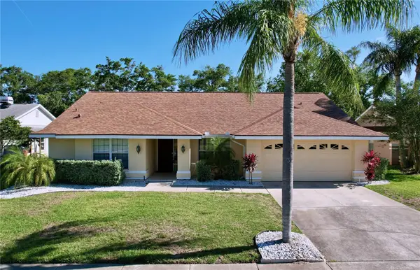 1599 Mcauliffe Lane, PALM HARBOR, FL 34683