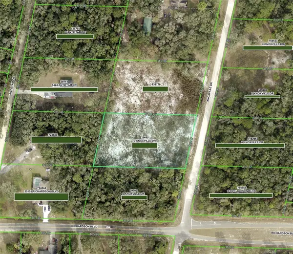 0 Knoxville Drive, WEBSTER, FL 33597
