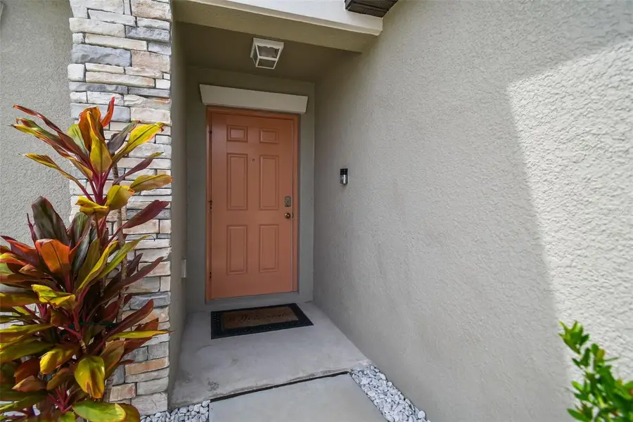 13603 Wild Ginger Street, Riverview, FL 33579 - Image #3
