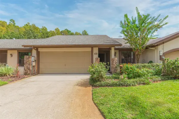 3923 Shoreside Circle, TAMPA, FL 33624