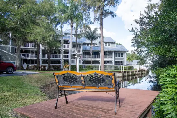 2533 Dolly Bay Drive #203, PALM HARBOR, FL 34684