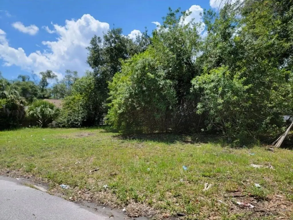 809 Palm Bluff Street, Clearwater, FL 33755 - Image #1