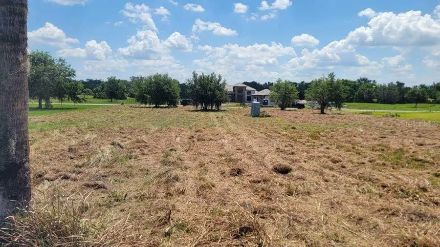 15315 Fishhawk Heights Run, Lithia, FL 33547 - Image #2