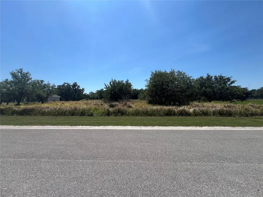 15315 Fishhawk Heights Run, Lithia, FL 33547 - Image #3