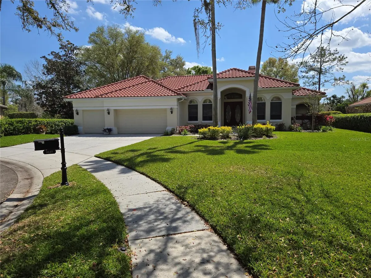 9127 Woodridge Run Drive, Tampa, FL 33647 - Image #1