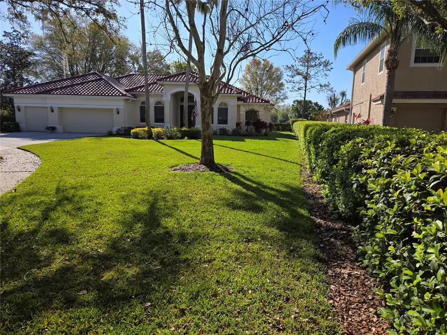 9127 Woodridge Run Drive, Tampa, FL 33647 - Image #3