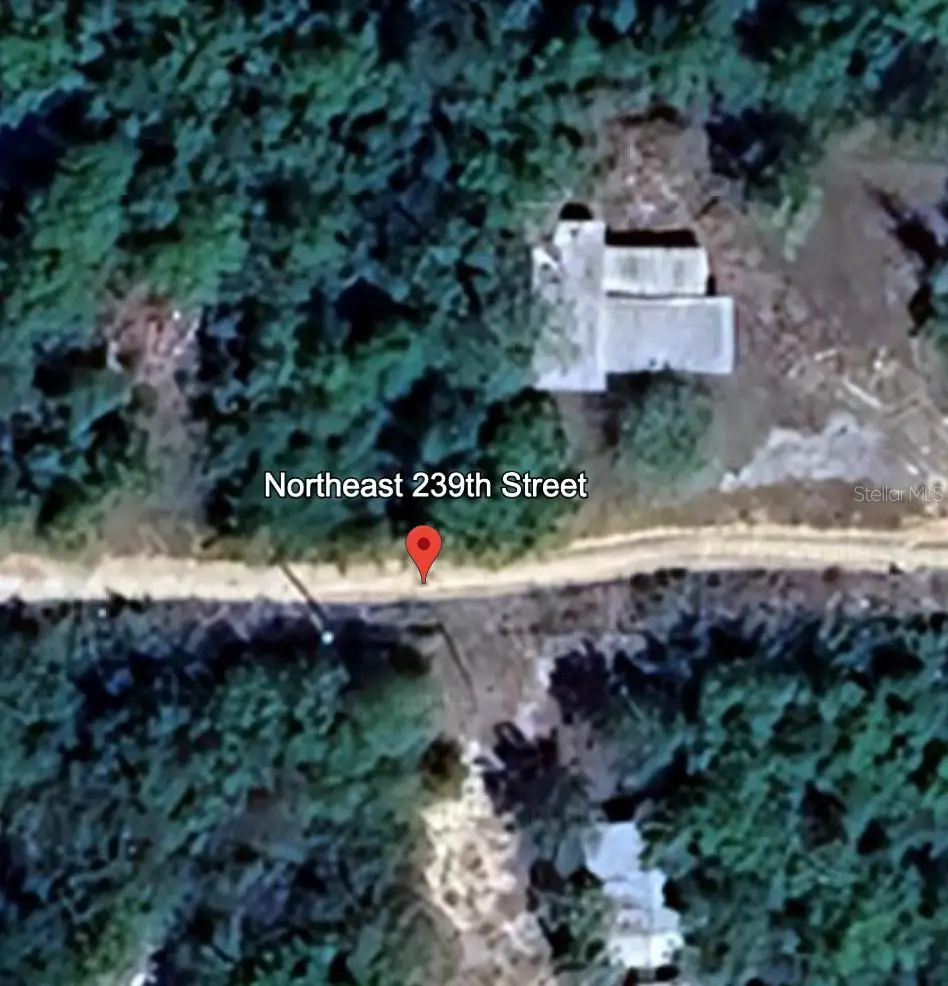 LOT 9 239TH NE 239th Street, Fort McCoy Anthony, FL 32134 - Image #1