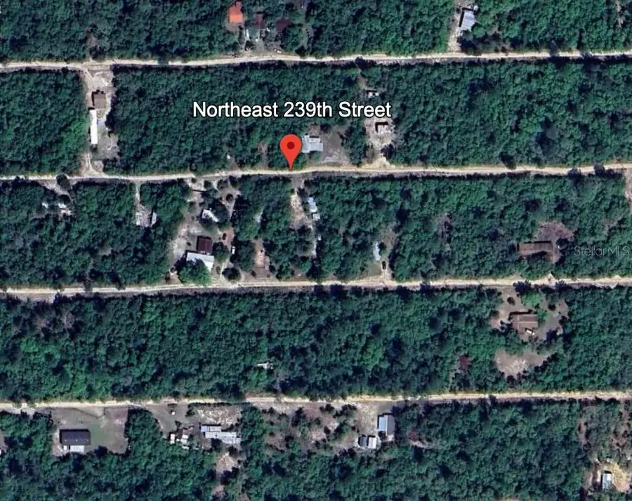 LOT 9 239TH NE 239th Street, Fort McCoy Anthony, FL 32134 - Image #2