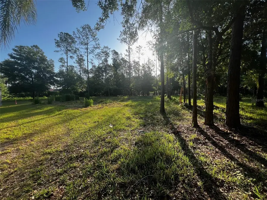 Newberger, Lutz, FL 33549 - Image #2